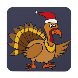 This was the lucky pardoned turkey. He 's now determined to spread some serious holiday cheer.