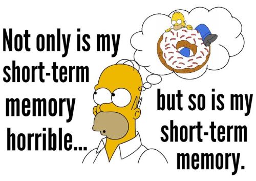 homer short term memory
