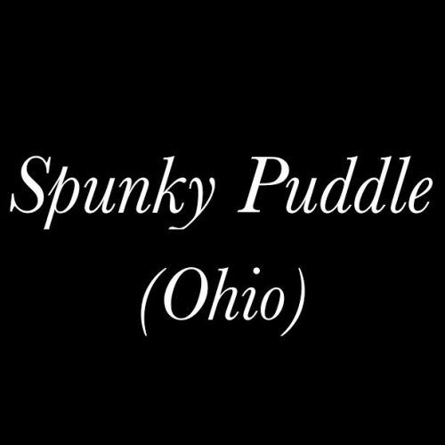 spunky-puddle-oh