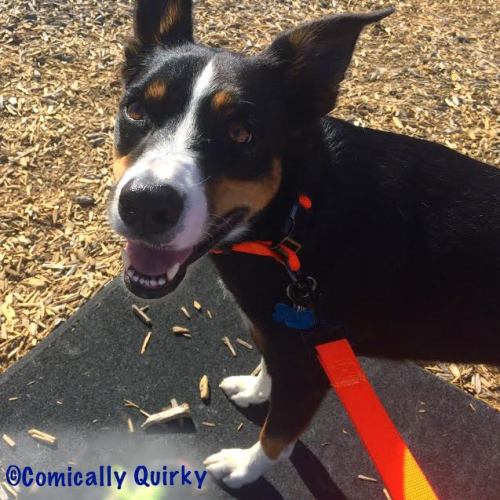 All smiles after enjoying an abandoned sugar cookie, fresh off the sidewalk.