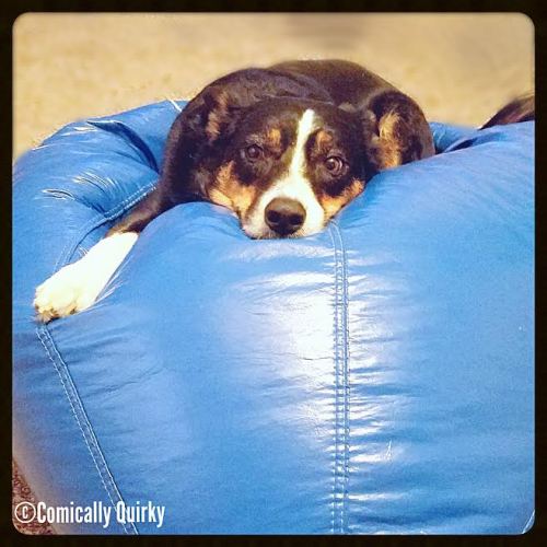 Please, oh please, tell me I can keep this beanbag! It's just so comfy!