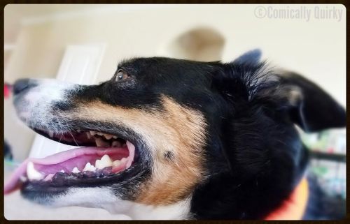 So many happy, happy thoughts!