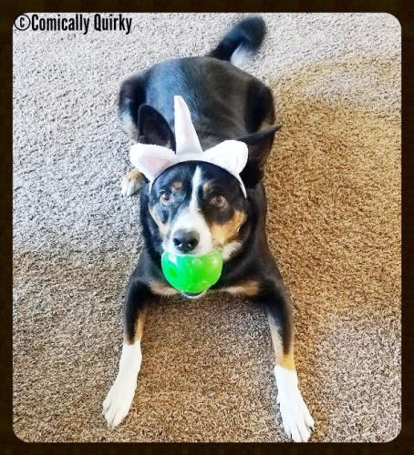  Momma said I can be anything I want to be!